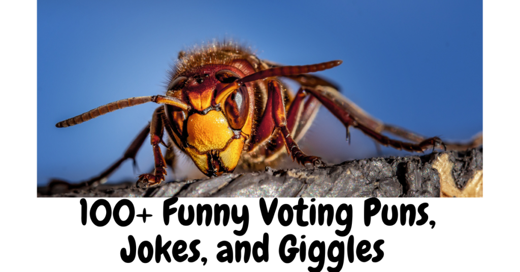 200+ Funny Hornet Puns, Jokes, and Giggles