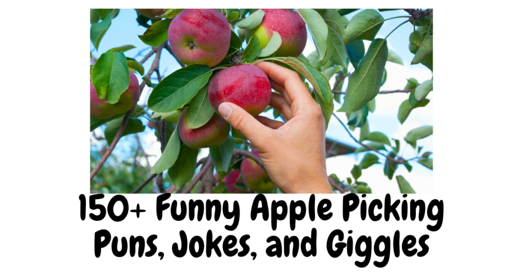 150+ Funny Apple Picking Puns, Jokes, and Giggles