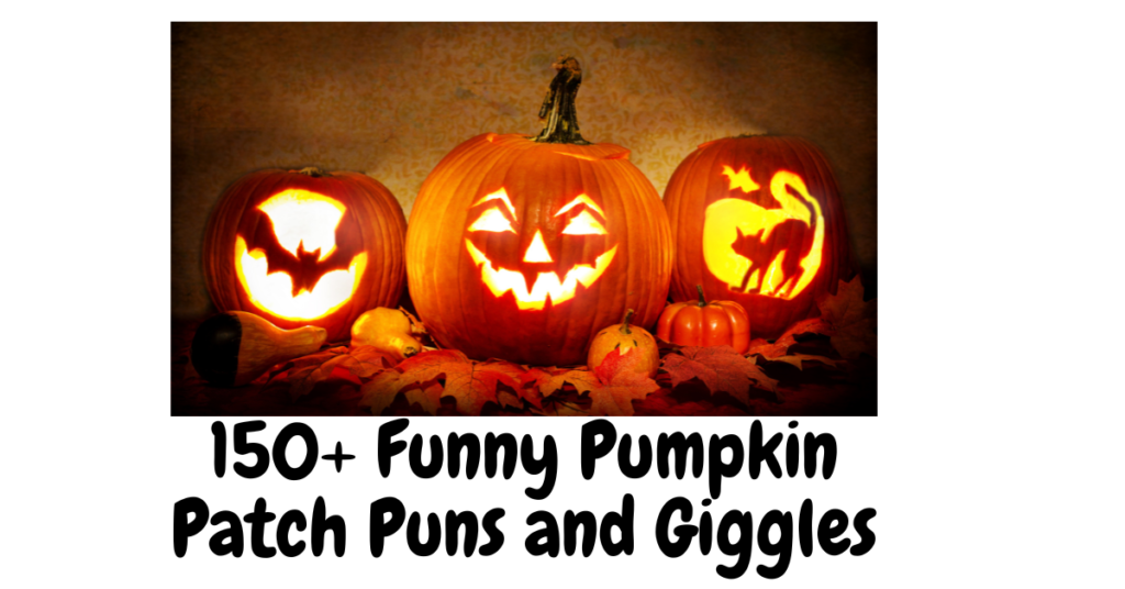 150+ Funny Pumpkin Patch Puns and Giggles