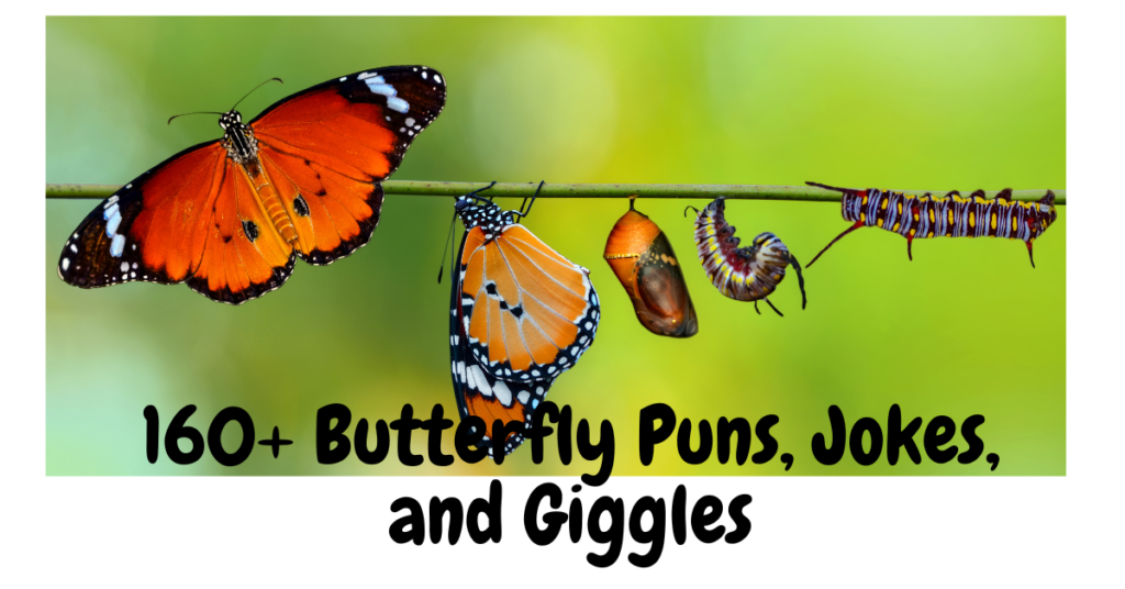 160+ Butterfly Puns, Jokes, and Giggles