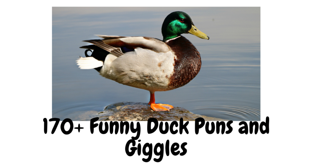 170+ Funny Duck Puns and Giggles