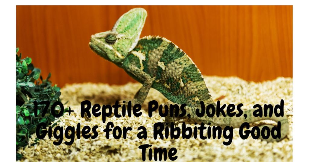 170+ Reptile Puns, Jokes, and Giggles for a Ribbiting Good Time