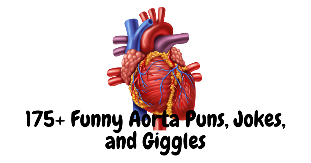 175+ Funny Aorta Puns, Jokes, and Giggles