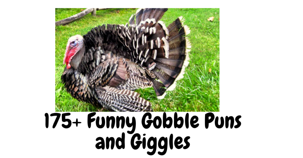 175+ Funny Gobble Puns and Giggles