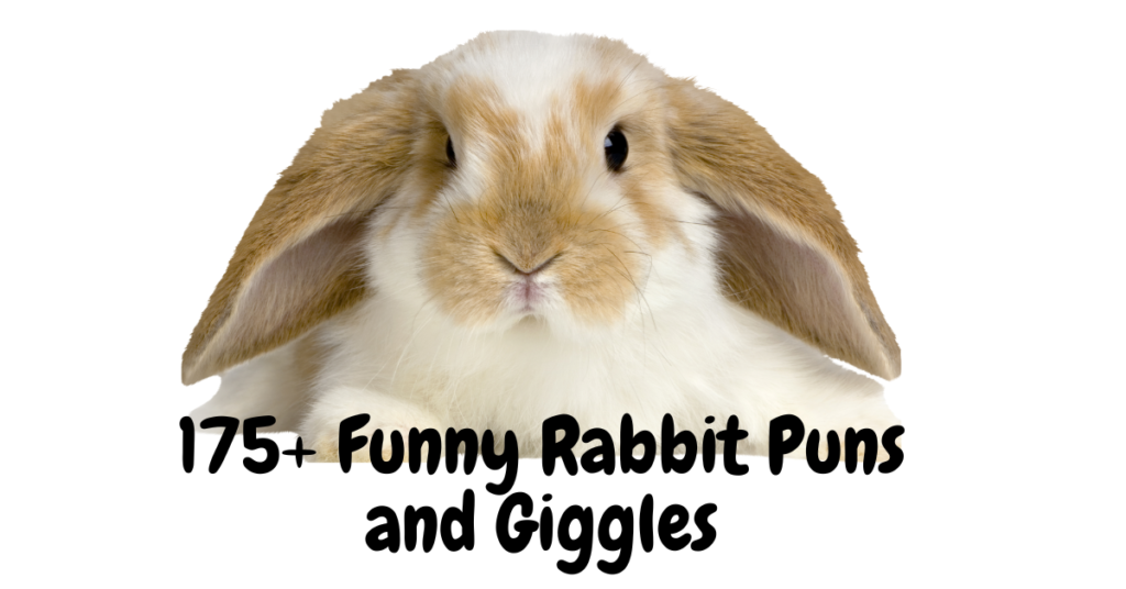 175+ Funny Rabbit Puns and Giggles