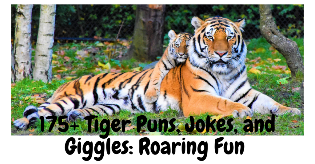 175+ Tiger Puns, Jokes, and Giggles: Roaring Fun