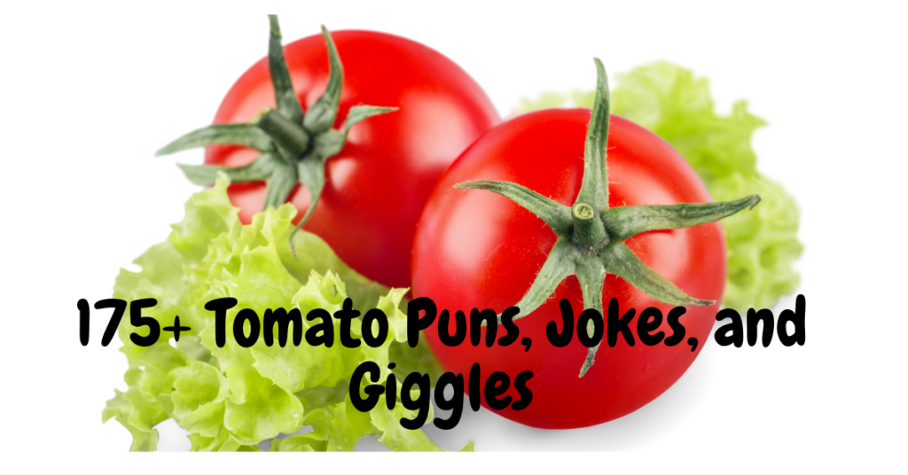 175+ Tomato Puns, Jokes, and Giggles