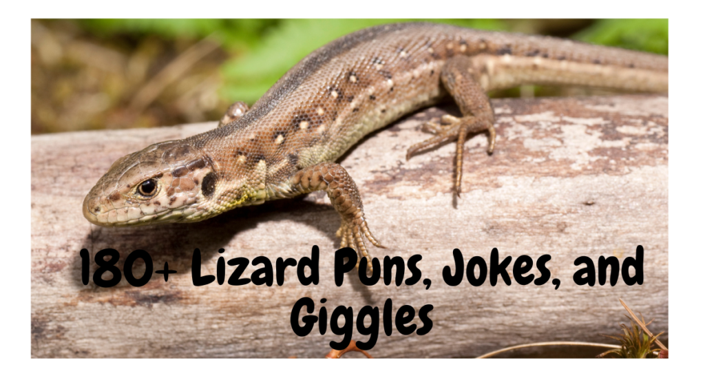 180+ Lizard Puns, Jokes, and Giggles