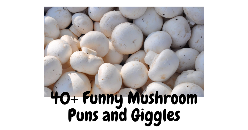 40+ Funny Mushroom Puns and Giggles: A Fungi-Filled Fun!