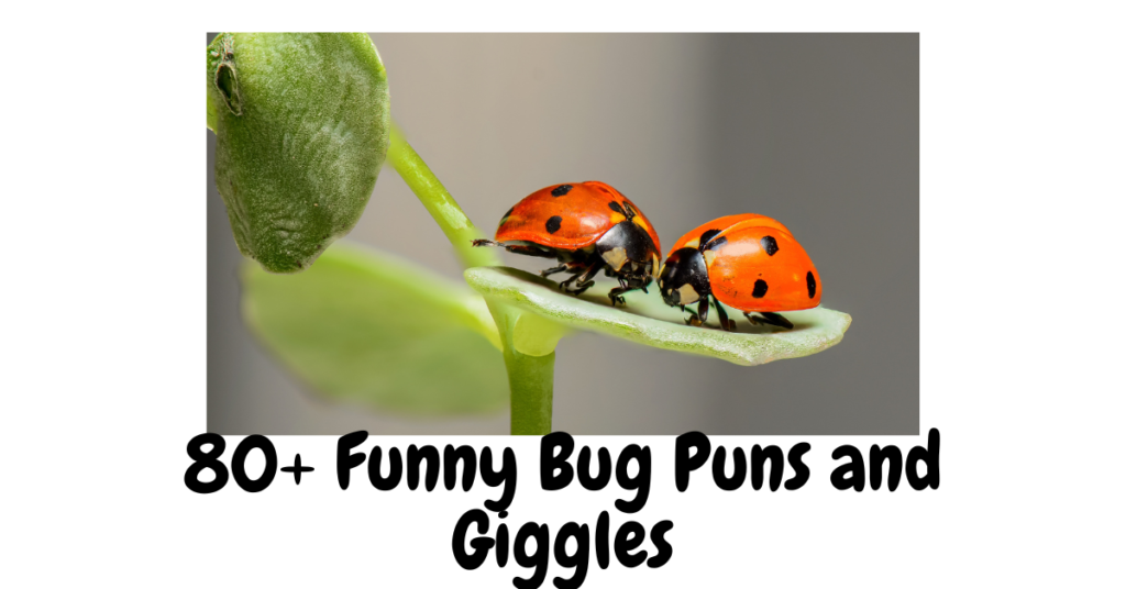 80+ Funny Bug Puns and Giggles