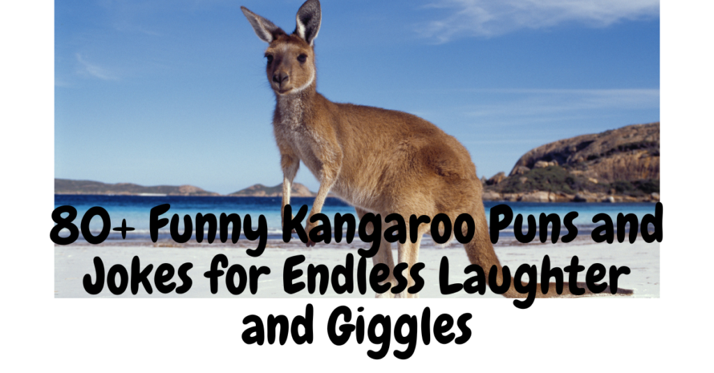 80+ Funny Kangaroo Puns and Jokes for Endless Laughter and Giggles