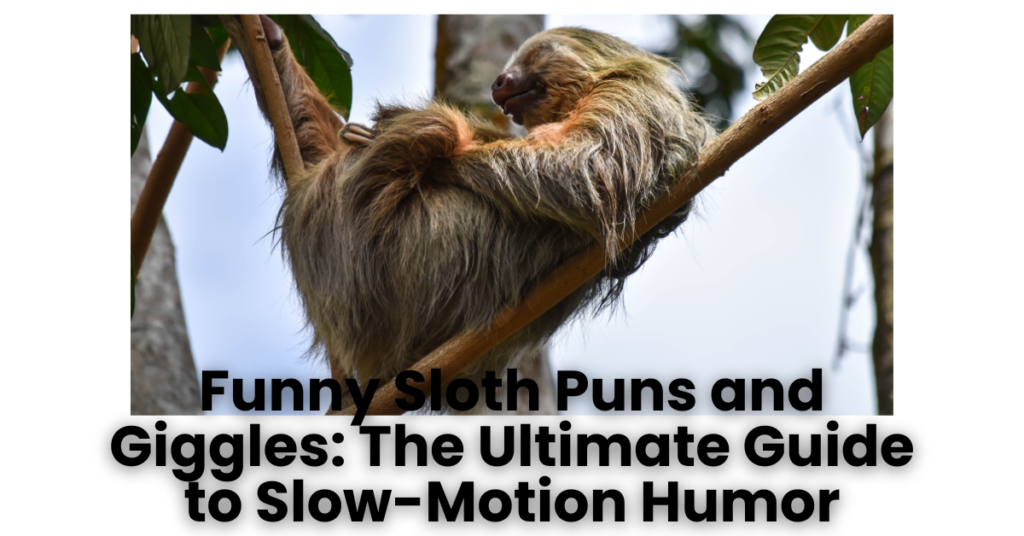 Funny Sloth Puns and Giggles: The Ultimate Guide to Slow-Motion Humor