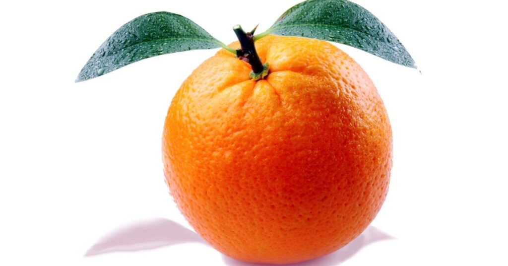 105+ Funny Orange Puns and Giggles