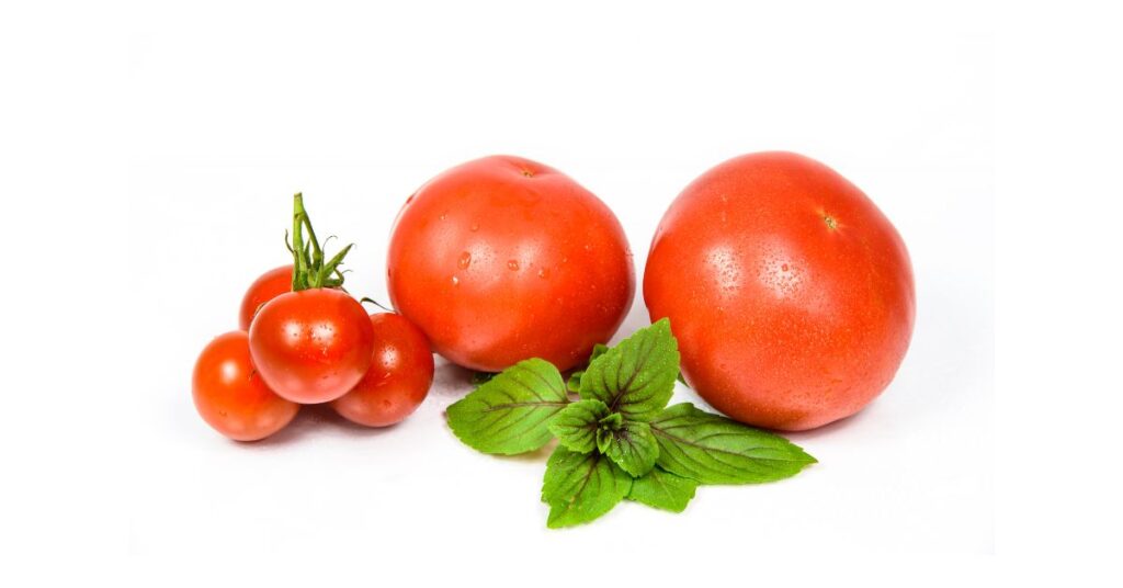 135+ Funny Tomato Puns and Giggles to Ketchup On