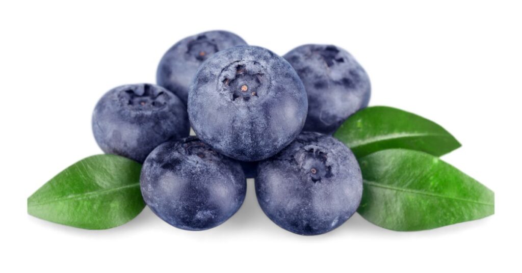 125+ Funny Blueberry Puns and Jokes That Will Leave You in Giggles