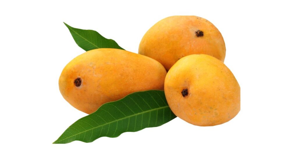 70+ Funny Mango Puns and Giggles to Sweeten Your Day