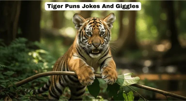 Tiger Puns Jokes And Giggle