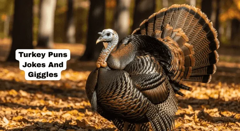 Turkey Puns
