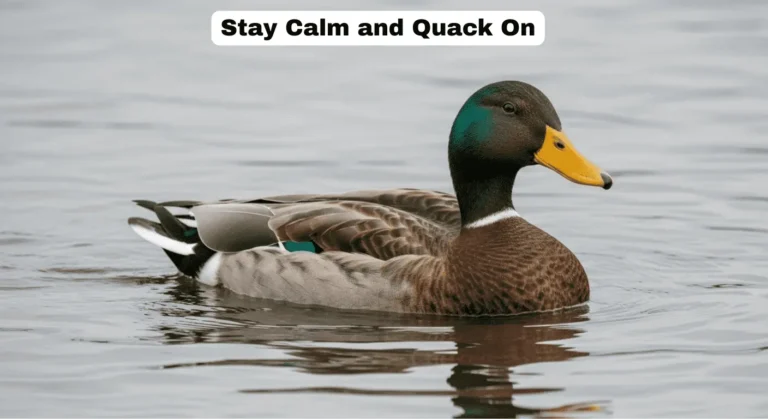 Duck Puns